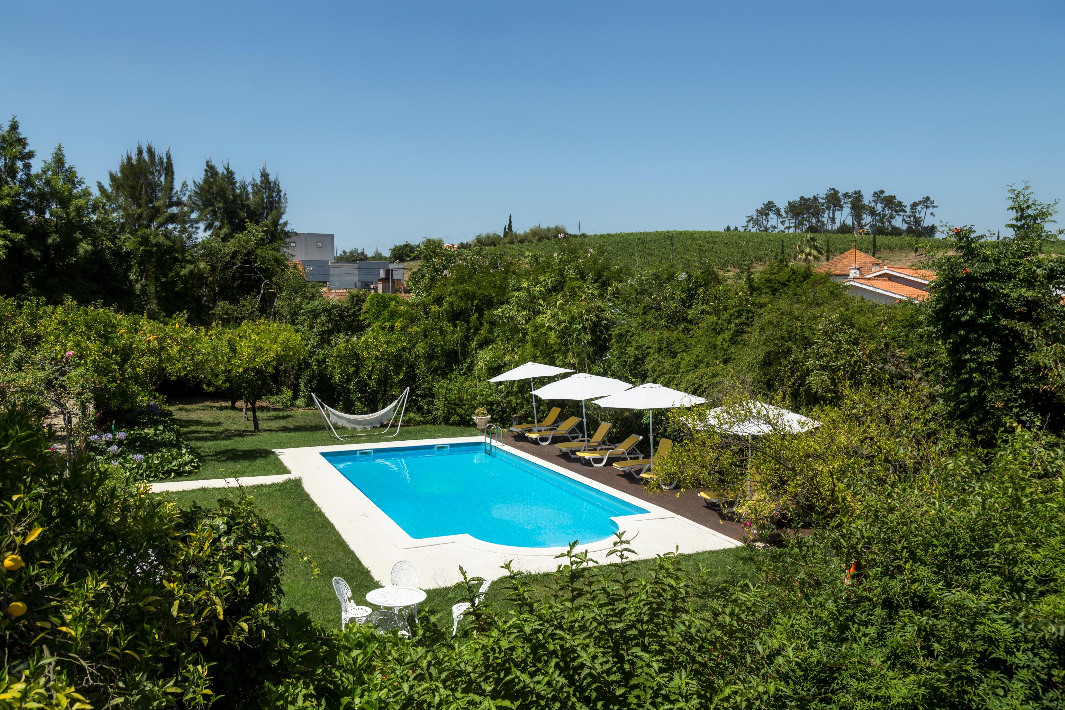 Quinta De Sao Lourenco Anadia Exterior photo