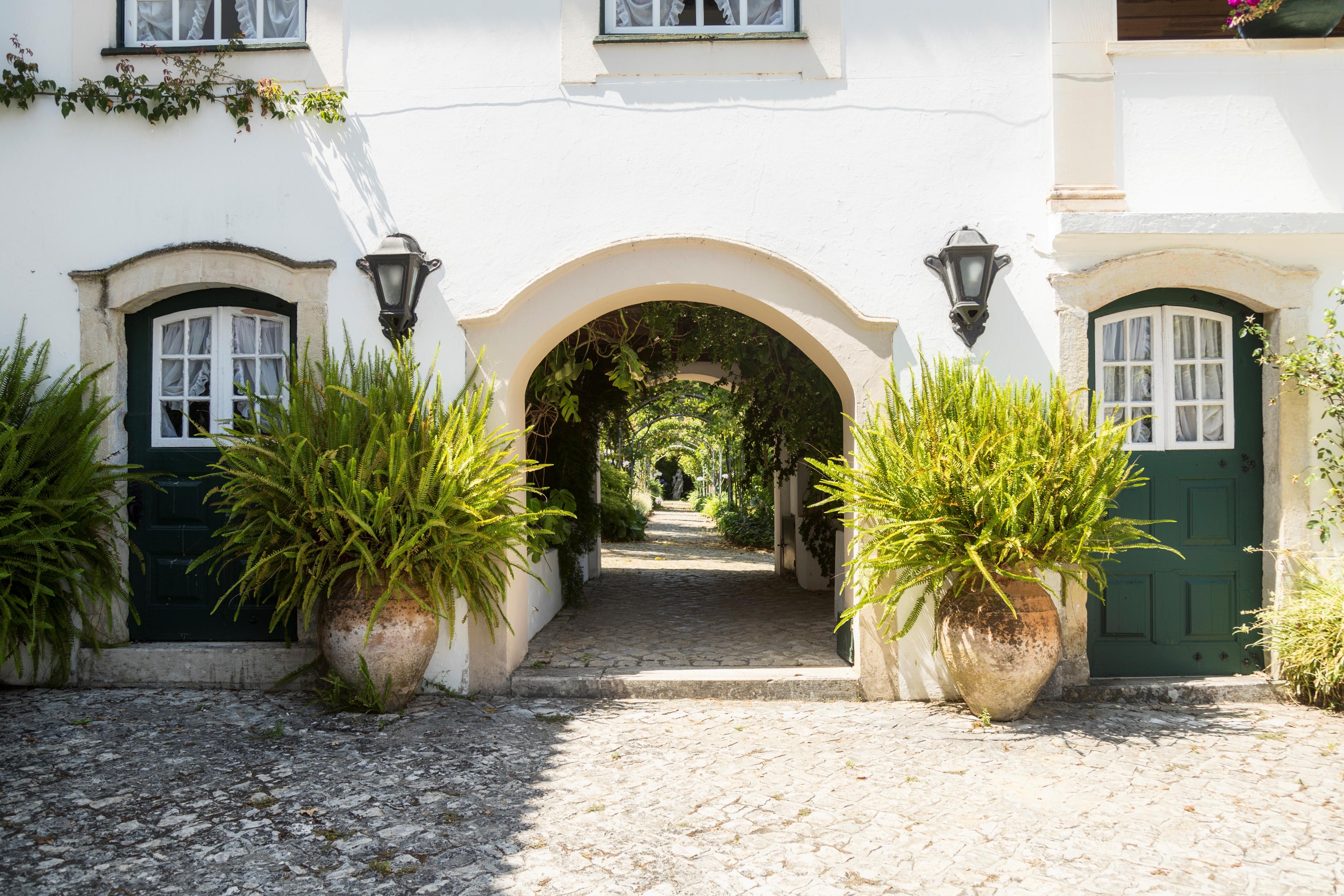 Quinta De Sao Lourenco Anadia Exterior photo