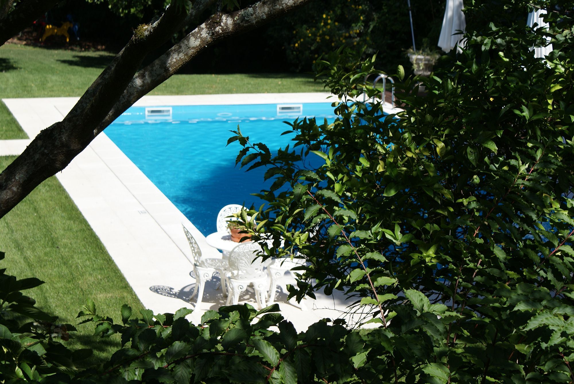 Quinta De Sao Lourenco Anadia Exterior photo